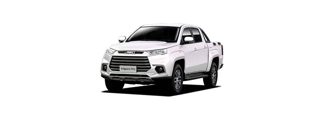 Vigus Plus colour preview